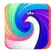孔雀速赚