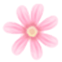 菊花视频app