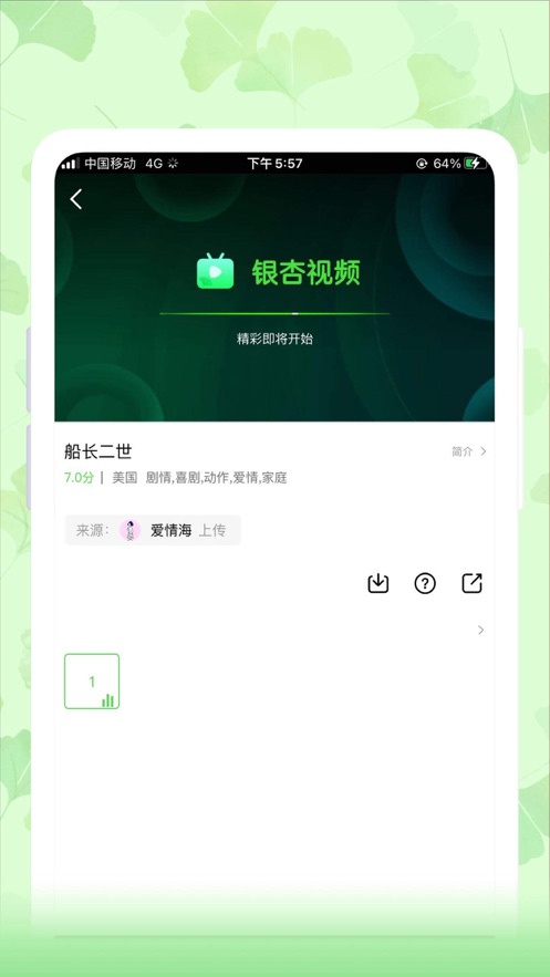 老款银杏视频