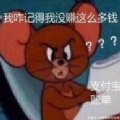 看完年度账单的我图片