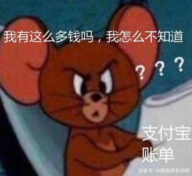 看完年度账单的我图片