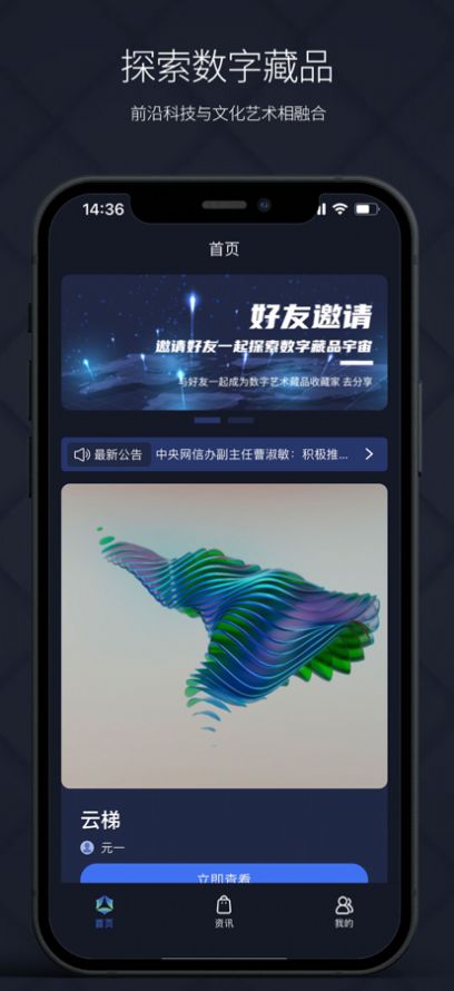 矢量磁场数字藏品