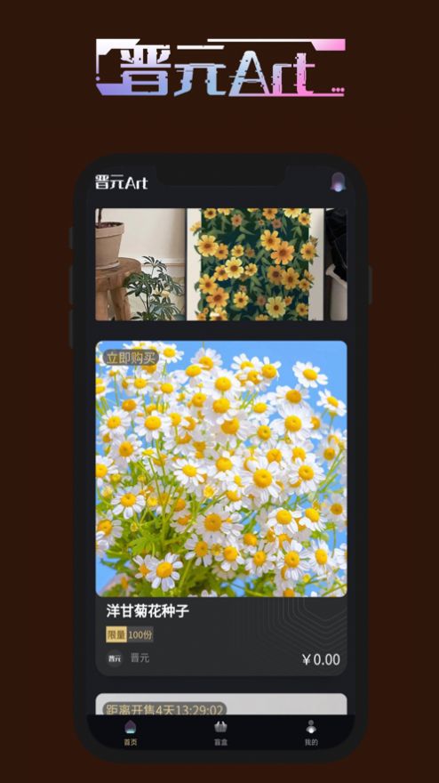 晋元Art数字藏品app官方版下载