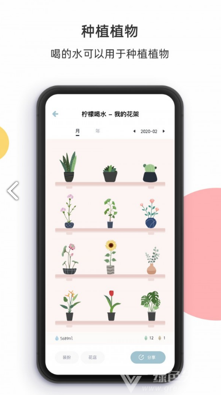 柠檬喝水
