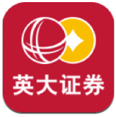 英大金点