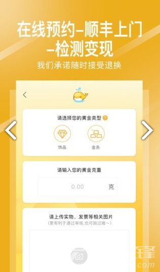 存金通