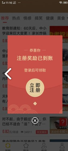 山茶网