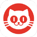 猫眼数字藏品