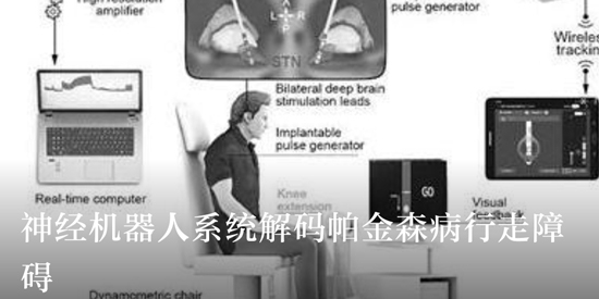 科技日报电子版APP