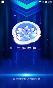 元狐数藏