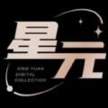 星元空间数字藏品