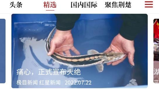 湖北新视点app官方版