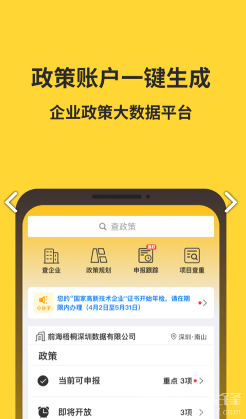 金谷子