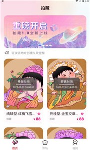 拍藏app