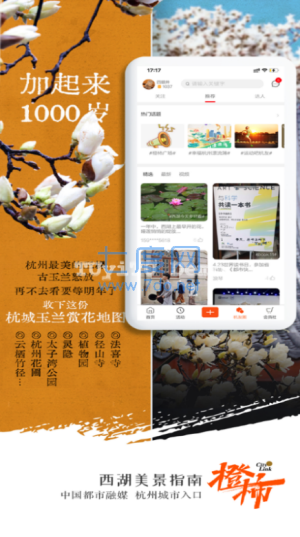 橙柿互动