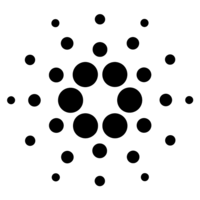 Polkadot交易所正式版V3.23.04 安卓版