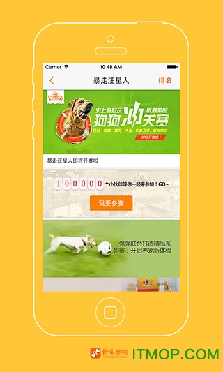 骨头宠物app