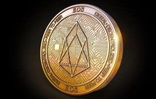 柚子币平台app下载地址 柚子币平台官方版下链接接