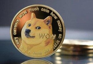 狗币哪里下载 狗狗币什么地方下载