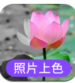 照片上色