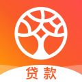 榕树贷款app