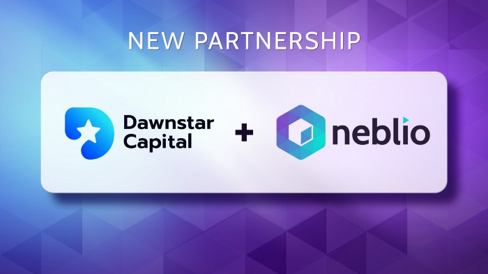 nebl迪拜老板与合伙人说今年nebl目标是$10