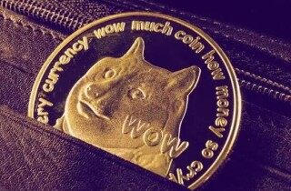 狗币app最新版手机端下载 狗狗币app官方正版下载