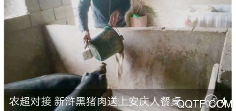 掌上安庆客户端
