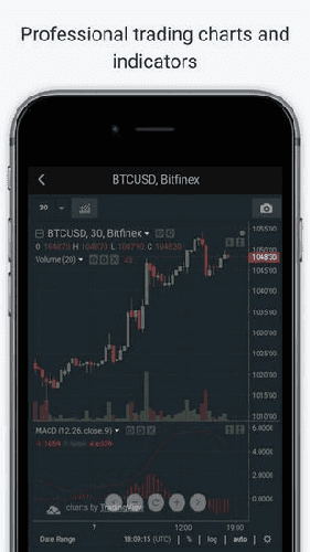 Bitfinex交易所