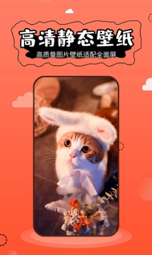 壁纸精灵APP