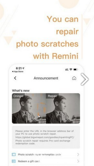 remini