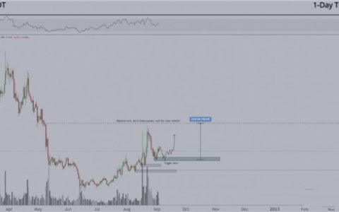 柚子币未来价值如何？柚子币EOS前景分析2022