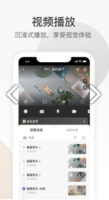 大华乐橙