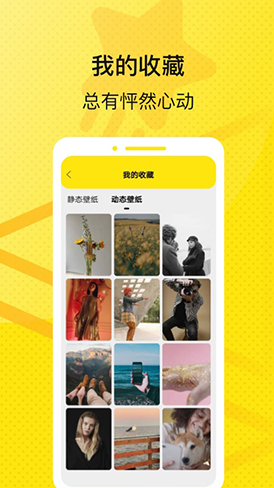 星星壁纸