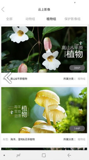 云上中国