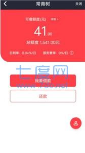 常青树网贷