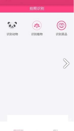 拍照识物