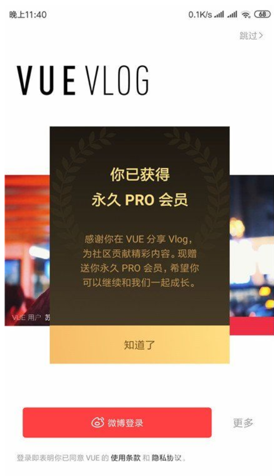 VUE Vlog