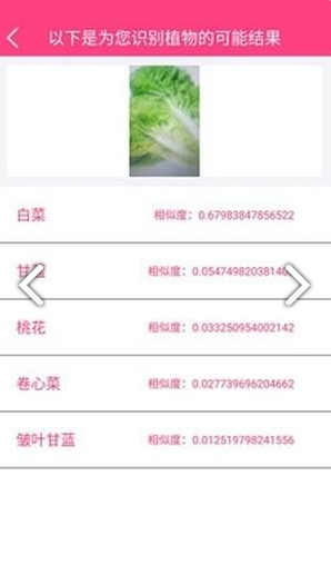 拍照识物