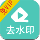 视频大师去水印