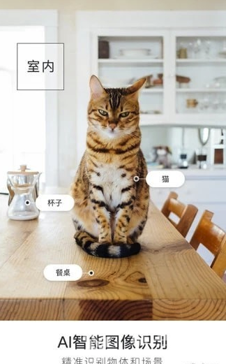 咔嗒app