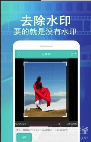 视频大师去水印