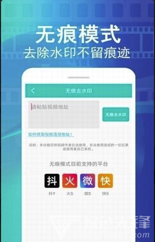 视频大师去水印