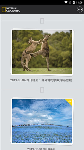 国家地理APP下载(国家地理中文网)