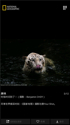 国家地理APP下载(国家地理中文网)