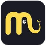 小印象APP