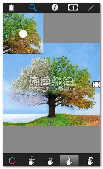 Colorizer影响精简版下载

