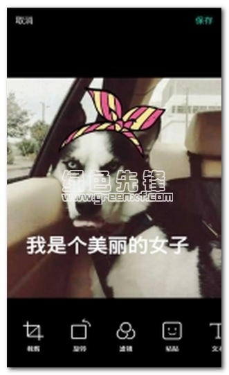 喧彩激动相机安卓版