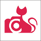 咔嚓猫安卓版