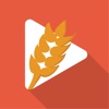 收米体育直播app